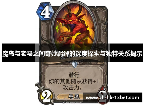 魔鸟与老马之间奇妙羁绊的深度探索与独特关系揭示